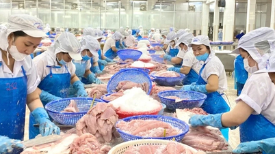 ប្លុកទីផ្សារ CPTPP ឡើងដល់លេខ២ ក្នុងការនាំចូលត្រីងៀតពីវៀតណាម