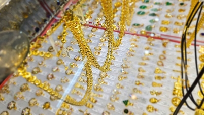 A finales del 28 de febrero, el precio de los lingotes de oro y los anillos de oro SJC no ha dejado de caer.