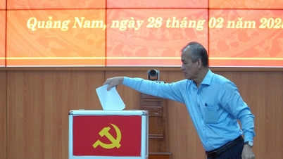 បង្កើតអង្គការបក្សមូលដ្ឋានចំនួន៧ ក្រោមគណៈកម្មាធិការបក្ស គណៈកម្មាធិការប្រជាជនខេត្ត Quang Nam