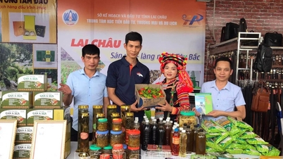 Muong Te អភិវឌ្ឍផលិតផល OCOP