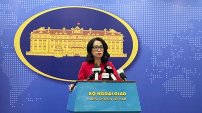 Myanmar tạm giữ nhiều người Việt được giải cứu khỏi cơ sở lừa đảo trực tuyến