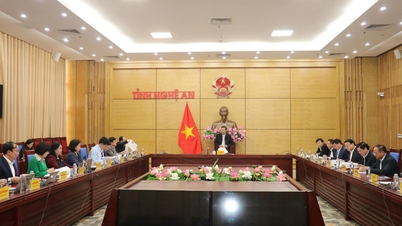 The Party Executive Committee of Nghe An Provincial People's Committee held the second conference