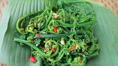 ម្ហូបពិសេស 'ឋានសួគ៌ផ្ញើ' នៅភាគខាងជើង កាន់តែរីកធំឡើង កាន់តែរើសវា កាន់តែឆ្ងាញ់ និងល្អសម្រាប់សុខភាព។