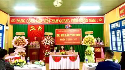 Hiep Duc implemented carefully and on schedule