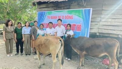 Providing livelihoods to poor students in Chu Bah commune