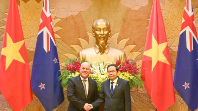 National Assembly Chairman Tran Thanh Man meets with New Zealand Prime Minister Christopher Luxon