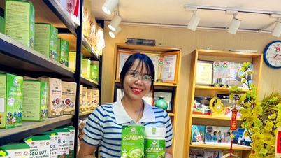ការអភិវឌ្ឍន៍ទីផ្សារទំនិញ Quang Nam