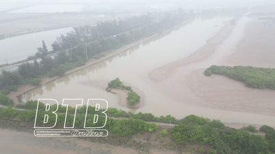 ផ្នែកទី 1: មនុស្សយល់ស្រប និងមានការរំពឹងទុកសម្រាប់គម្រោង