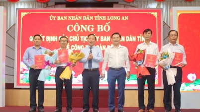 ឡុងអានបន្ទាប់ពីការសម្រួលមាននាយកដ្ឋាន និងសាខាចំនួន 13