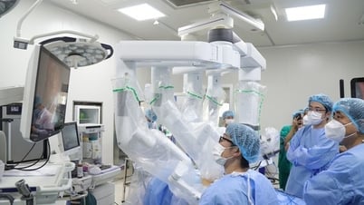 Quy chế tổ chức và hoạt động của Hội đồng Y khoa Quốc gia