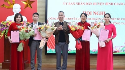 Bình Giang bổ nhiệm 13 trưởng phòng, phó trưởng phòng sau khi tinh gọn bộ máy