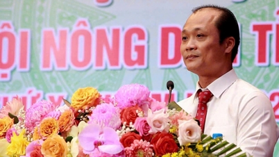 Mr. Nguyen Tuan Anh is the Director of Dong Nai Department of Agriculture and Environment.