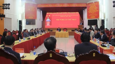 Announcing the Decision to establish the Government Inspectorate Party Committee