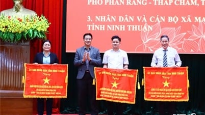 សន្និបាតបូកសរុបការងាររបស់គណៈកម្មាធិការដឹកនាំទប់ស្កាត់ និងត្រួតពិនិត្យឧក្រិដ្ឋកម្ម អំពើអាក្រក់សង្គម និងការកសាងចលនាប្រជាជនទាំងមូល ដើម្បីការពារសន្តិសុខជាតិនៅឆ្នាំ២០២៤