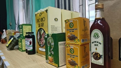 Tổ chức bình chọn sản phẩm công nghiệp nông thôn tiêu biểu tỉnh Quảng Nam năm 2025