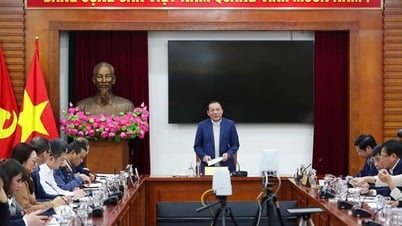 ត្រូវមានចក្ខុវិស័យទូលំទូលាយ និងការគិតថ្មីក្នុងការកសាងឯកសារច្បាប់សម្រាប់វិស័យវប្បធម៌ កីឡា និងទេសចរណ៍។