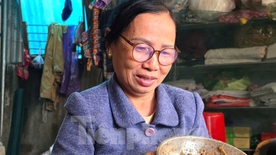 Bà giáo người Thái kiếm nửa triệu mỗi ngày từ nuôi côn trùng đặc sản