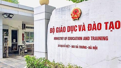 Ministry of Education and Training reduces 5 units after restructuring and streamlining
