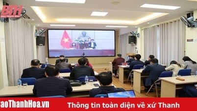 Comments on the draft feasibility study report of the National Target Program on Cultural Development
