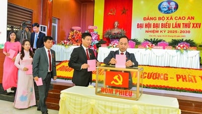 លោក Hai Duong បានដឹកនាំការរៀបចំប្រកបដោយជោគជ័យនៃសមាជបក្សមូលដ្ឋាន