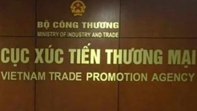 Chức năng, nhiệm vụ, cơ cấu tổ chức của Cục Xúc tiến thương mại