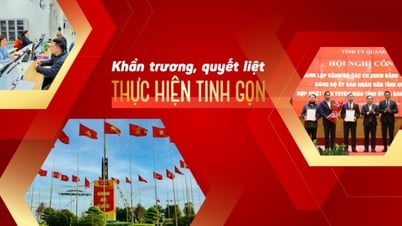 تنفيذ تبسيط الإجراءات بشكل عاجل وحازم
