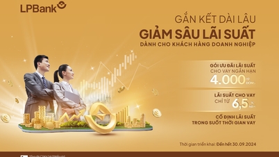 LPBank គាំទ្រកញ្ចប់ប្រាក់កម្ចីចំនួន 4,000 ពាន់លានជាមួយនឹងអត្រាការប្រាក់កាត់បន្ថយយ៉ាងខ្លាំងសម្រាប់អាជីវកម្ម
