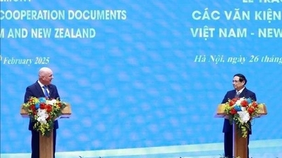 Vietnamese and New Zealand Prime Ministers hold joint press conference on upgrading relations