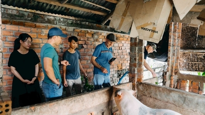 American millionaire comes to Vietnam to go shopping and experience farming
