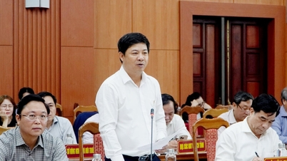 Quang Nam province accompanies THACO's key and strategic projects
