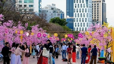Đà Nẵng: Du lịch Tết Ất Tỵ 2025, lượng khách tăng mạnh