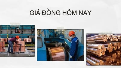 ធ្លាក់ចុះពីកម្រិតខ្ពស់ប្រាំខែ