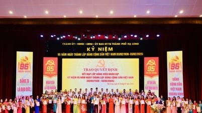 ប្រកាសសេចក្តីសម្រេចបង្កើតគណៈកម្មាធិការបក្សមូលដ្ឋាននៃទីក្រុង Ha Long