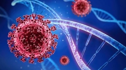 旧正月期間中の流行状況の最新情報