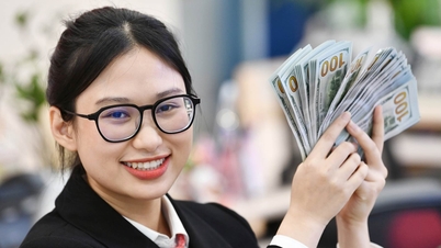 Bank USD price increases sharply, regaining the 25,000 VND mark