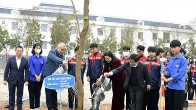 Hanoi Education Department launches Tet tree planting movement