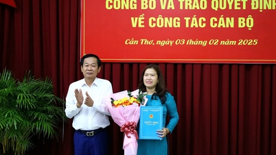 Can Tho has a new Vice Chairman of the City People's Committee