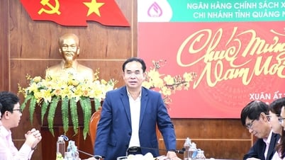 សរុបបំណុលឥណទានគោលនយោបាយរបស់ខេត្ត Quang Nam សម្រេចបានជាង ៨.១០០ពាន់លានដុង