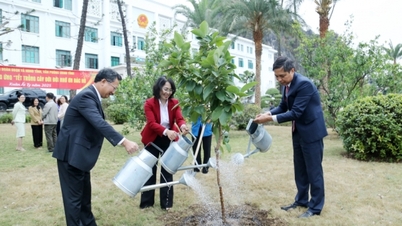 The Standing Deputy Secretary of the Provincial Party Committee, Chairman of the Provincial People's Council participated in the Tree Planting Festival "Forever grateful to Uncle Ho"