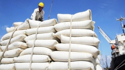 Những thị trường tỷ đô của gạo Việt Nam