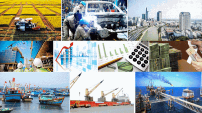 Ministry of Natural Resources and Environment issues Action Program to implement Resolution 01/NQ-CP and Resolution 02/NQ-CP of the Government