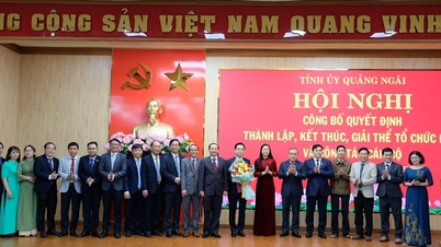 Công bố quyết định thành lập, kết thúc, giải thể nhiều tổ chức