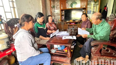 Agricultural purchasing agents "go bankrupt" and the consequences