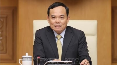 Comrade Tran Luu Quang holds the position of Head of the Central Policy and Strategy Committee.