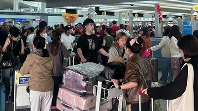 วันที่ 7 ของเทศกาลเต๊ต สนามบินเตินเซินเญิ้ตยังคงไม่เย็นลง