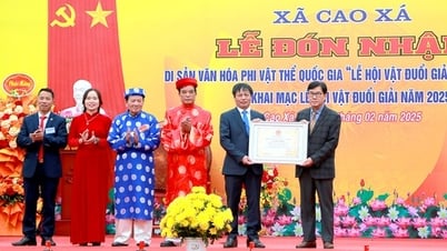 'មហោស្រពចំបាប់'