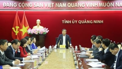 Tết Ất Tỵ diễn ra vui tươi, lành mạnh, an toàn, tiết kiệm, nghĩa tình