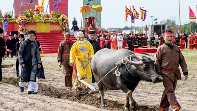Đầu năm xem ‘vua’ xuống ruộng đi cày