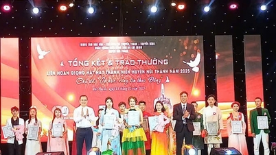 Thí sinh Đỗ Thị Kim Trúc đoạt giải Nhất Chung kết liên hoan giọng hát hay thanh niên huyện Núi Thành Xuân Ất Tỵ