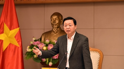 The functions and tasks of the Ministry of Agriculture and Environment must update new regulations and management ideas.